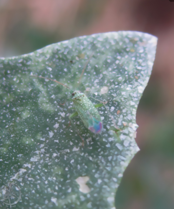 20120623.3.jpg