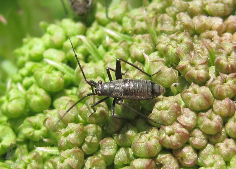20120623.38.jpg