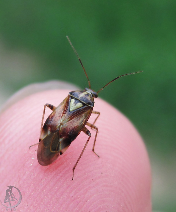 20120628.0.jpg