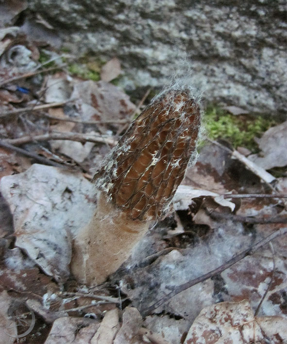 100530.jpg