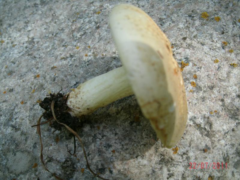 gedc0524.jpg