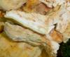 0_laetiporus_sulphureus_1a_t1.jpg