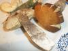a_leccinum_carpini__t1.jpg