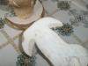boletus_reticulatus_4_t1.jpg