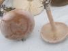 clitocybe_rivulosa_1_t1.jpg