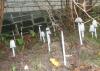 coprinus_comatus_3_t1.jpg
