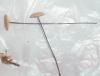 marasmius_androsaceus_1_t1.jpg