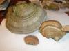 pa220298_fomes_fomentarius_t1.jpg