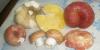 russula_mix_1_t1.jpg