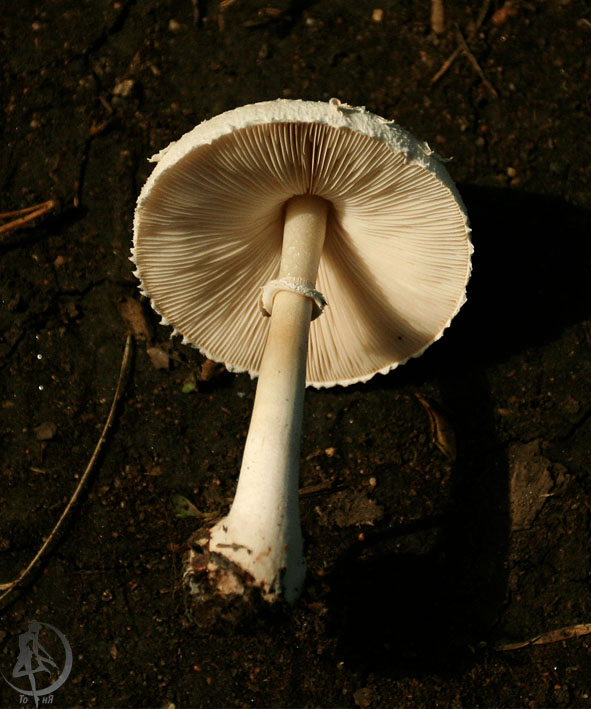 110806.1.jpg