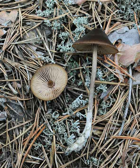 110806.20_1.jpg