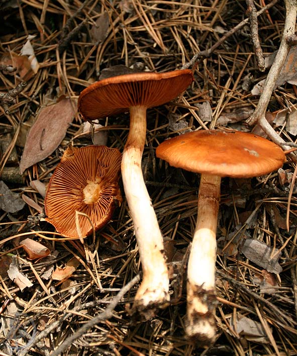 110806.2_1.jpg