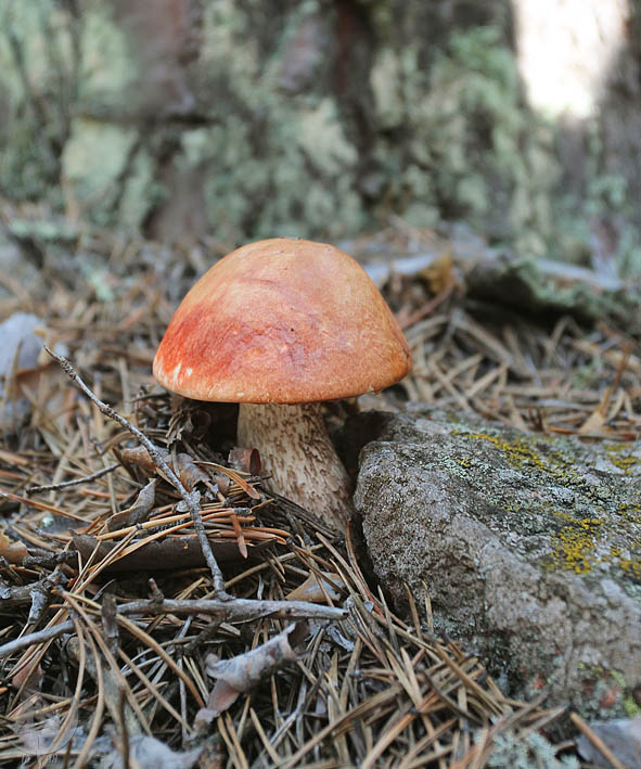 110806.30_1.jpg
