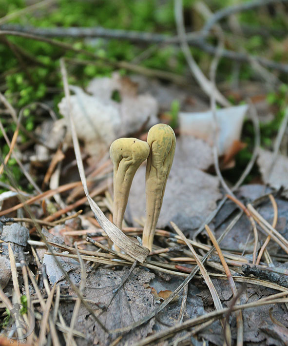 110806.49_1.jpg