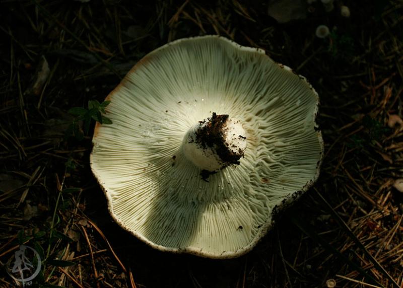 110806.4.jpg