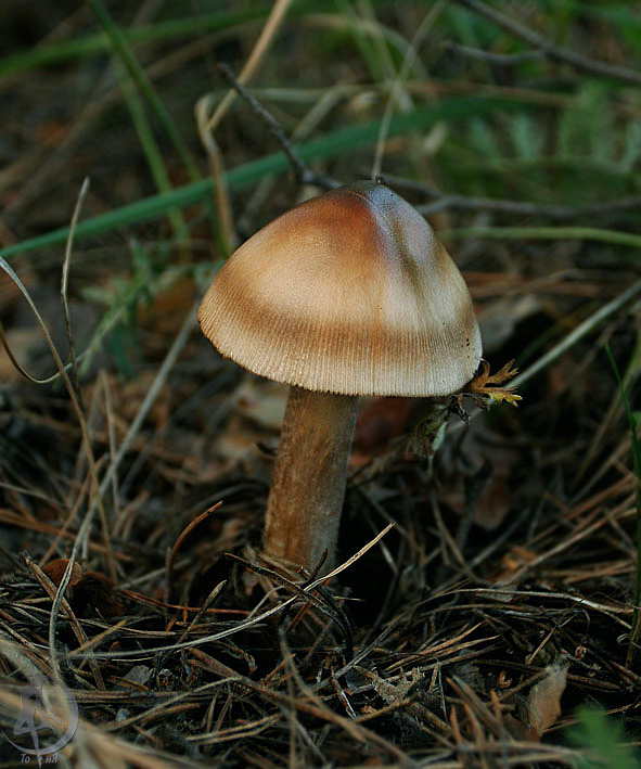 110806.5.jpg