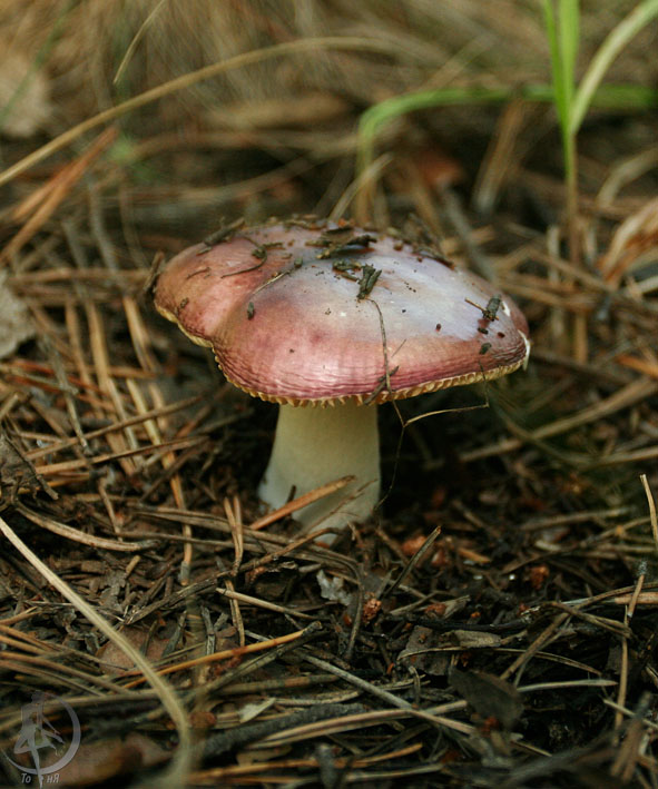110806.9.jpg