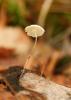 111018.57_t1.jpg