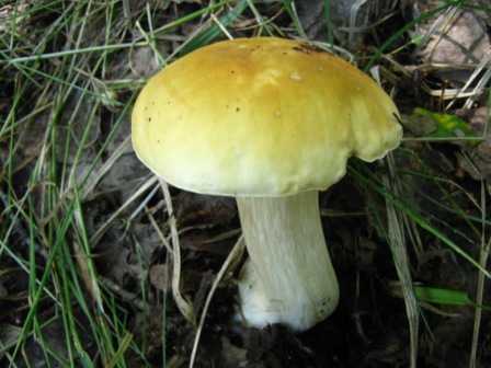 167.jpg