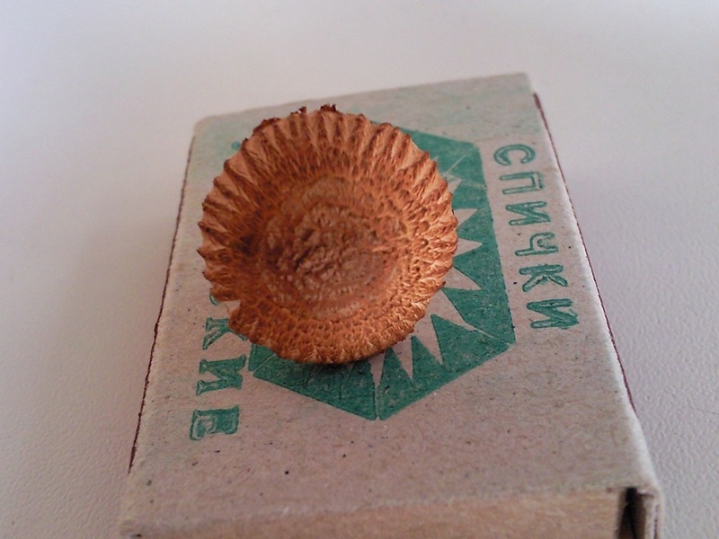 1908.jpg