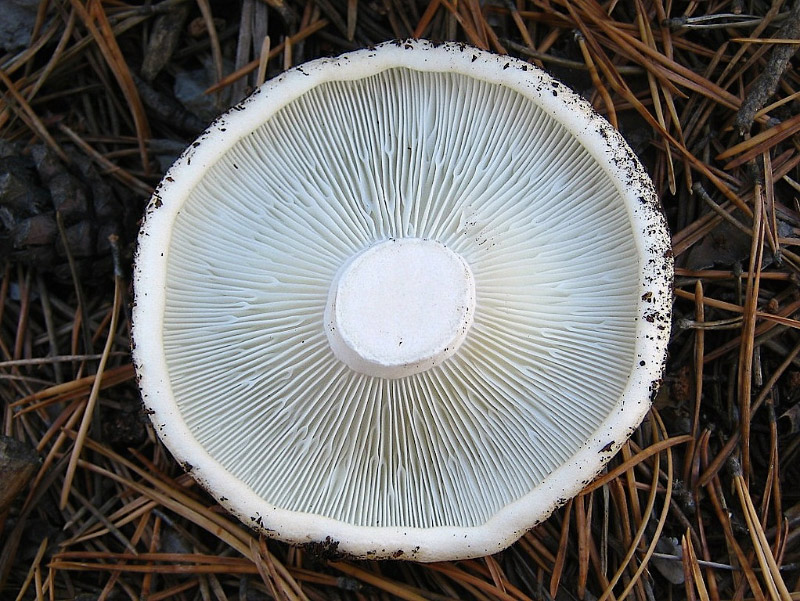 7804478.jpg