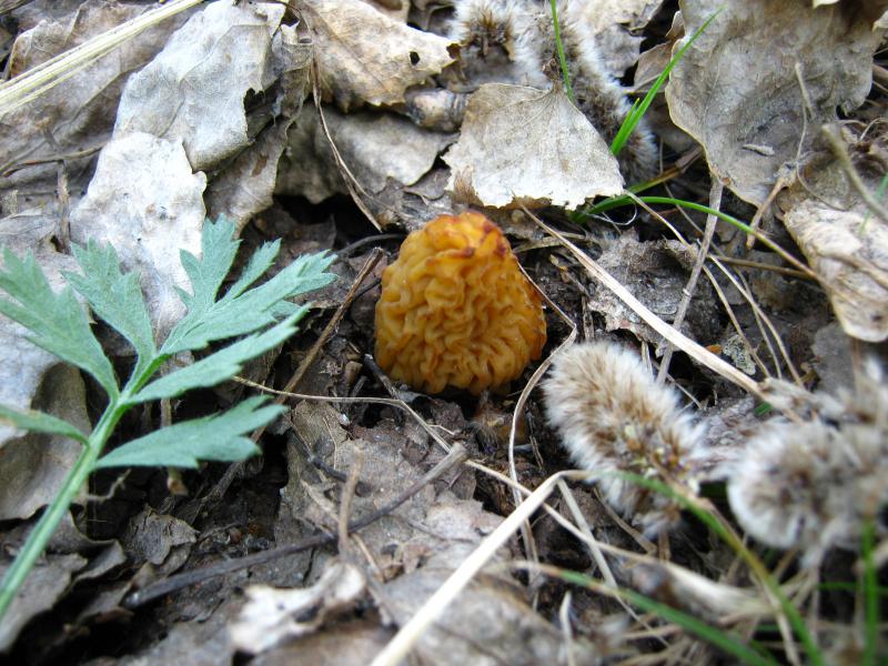 img123.jpg
