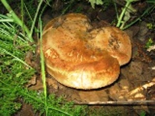 img_1704.jpg