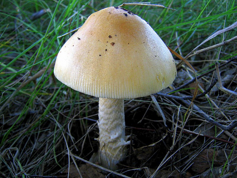img_5510.jpg