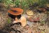 lactarius_2_02_t1.jpg