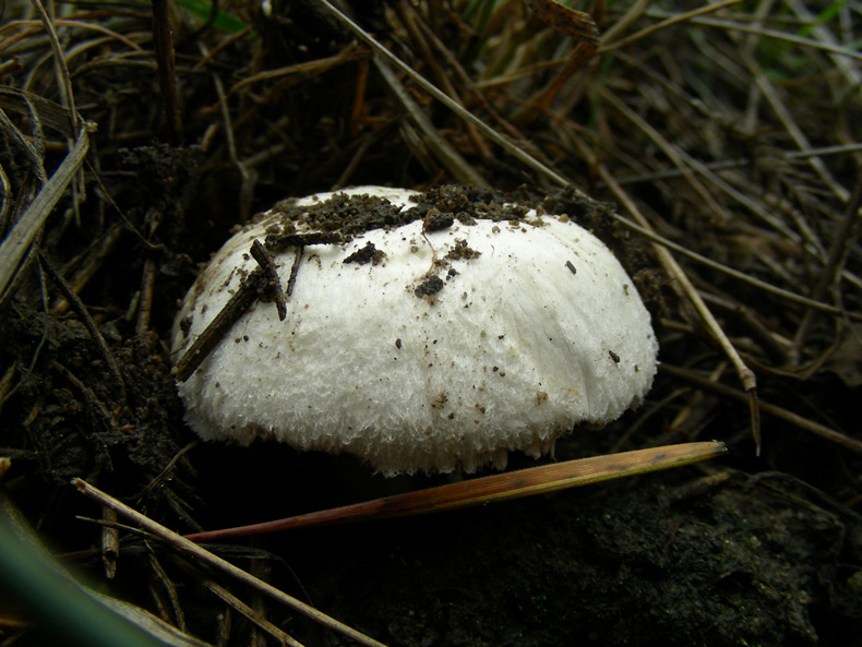 dscn9038.jpg