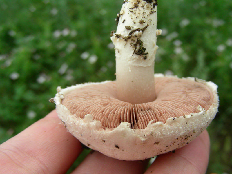 dscn9039.jpg