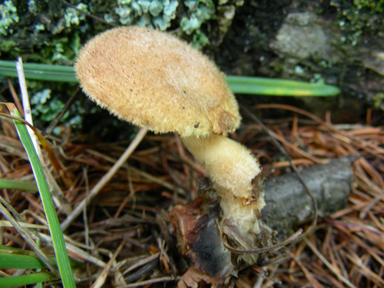 dscn9103.jpg
