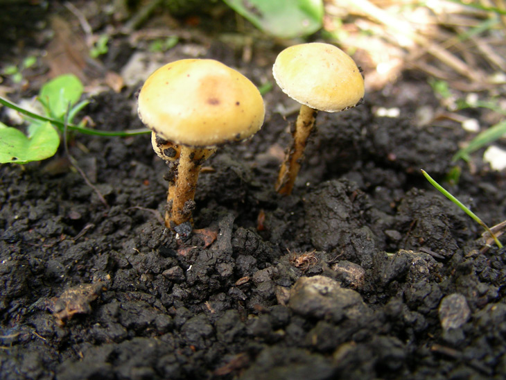 dscn9128.jpg