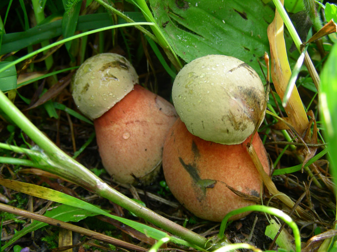 dscn9145.jpg
