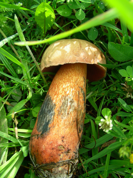 dscn9147.jpg