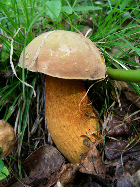 dscn9160.jpg