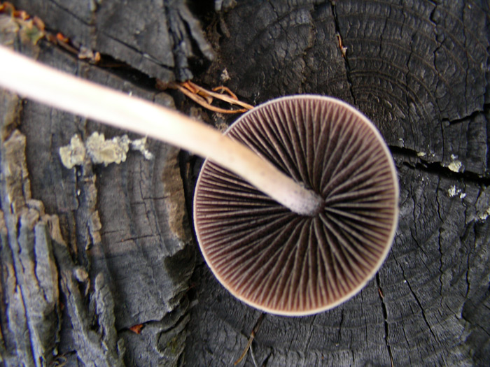 dscn9180.jpg