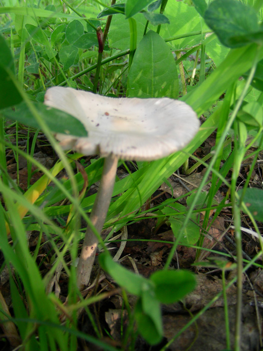 dscn9214.jpg