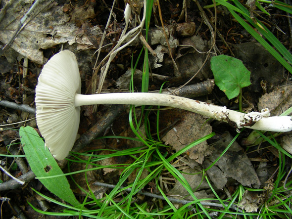dscn9216.jpg