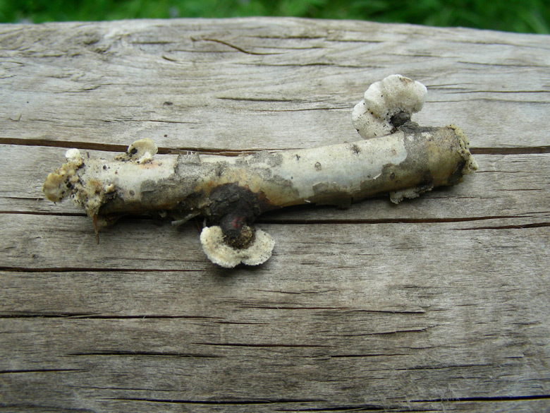 dscn9280.jpg