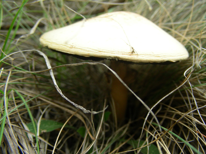 dscn9440.jpg
