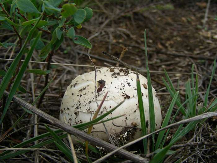 dscn9479.jpg