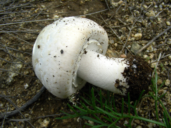 dscn9480.jpg