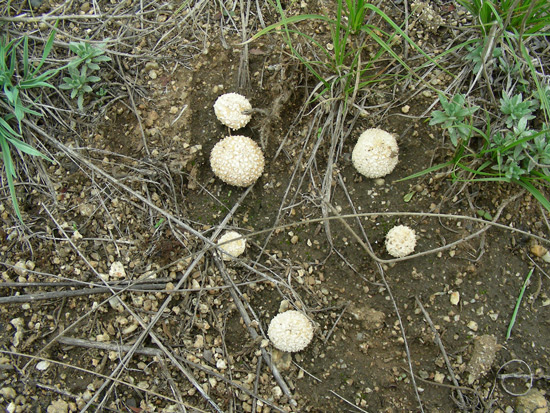dscn9481.jpg