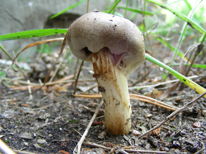 dscn9527.jpg
