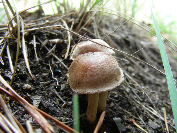 dscn9536.jpg