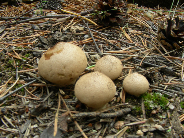 dscn9567.jpg