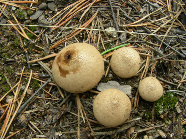 dscn9568.jpg