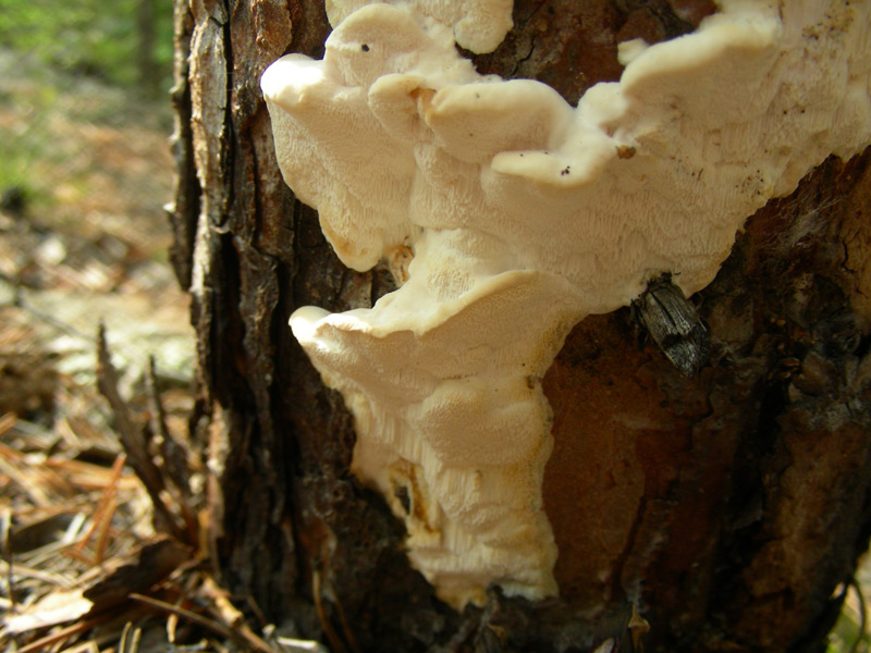 dscn9577.jpg