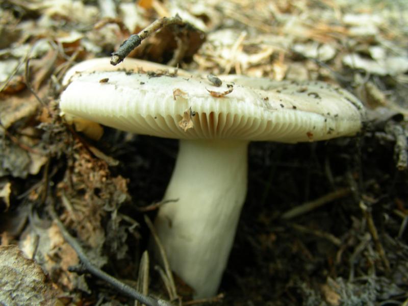 dscn9579.jpg